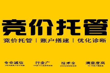 案例研究：SEM开户助力电商快速崛起